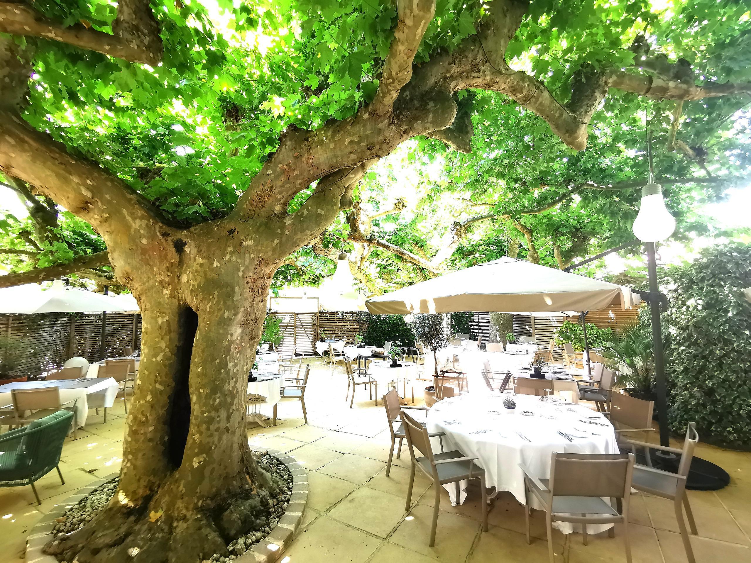 photo logis hotel
